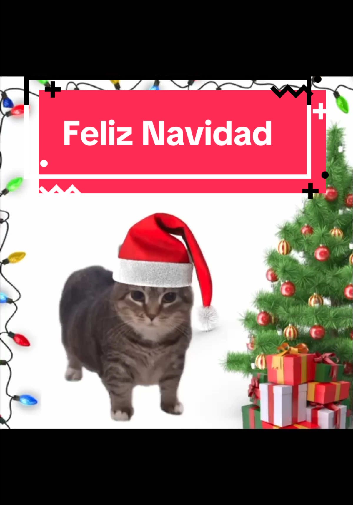 Oia cat sings Feliz Navidad! #cats #catsoftiktok 