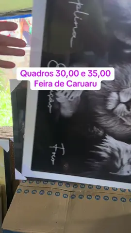 Quadros baratos na feira de Caruaru #quadros #quadrosbarato #feiradecaruaru 