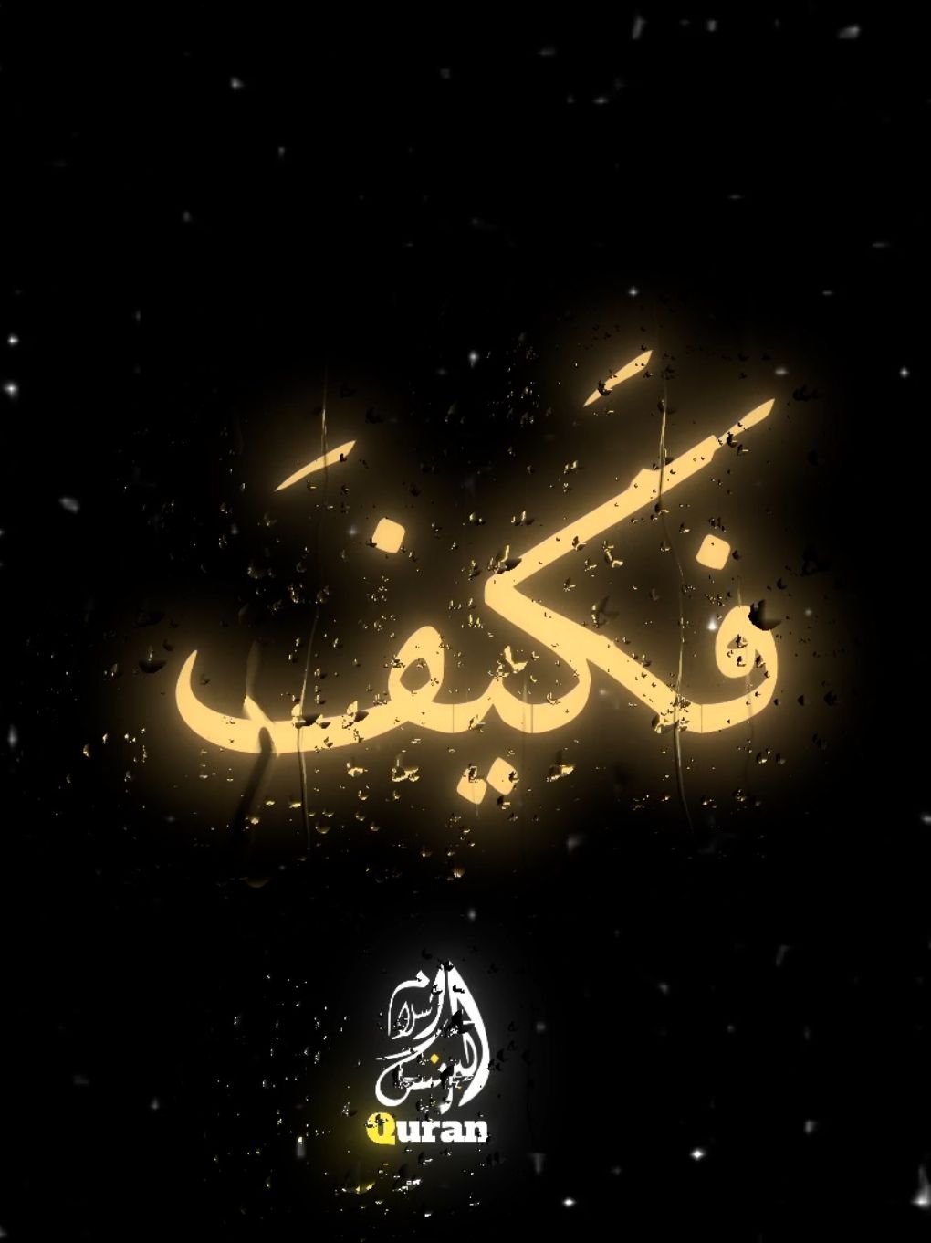 روائع الشيخ سيد سعيد سوره ال عمران 🤎🤍 #quran #السيد_سعيد #قران #ايات_قرآنية #قران_كريم 