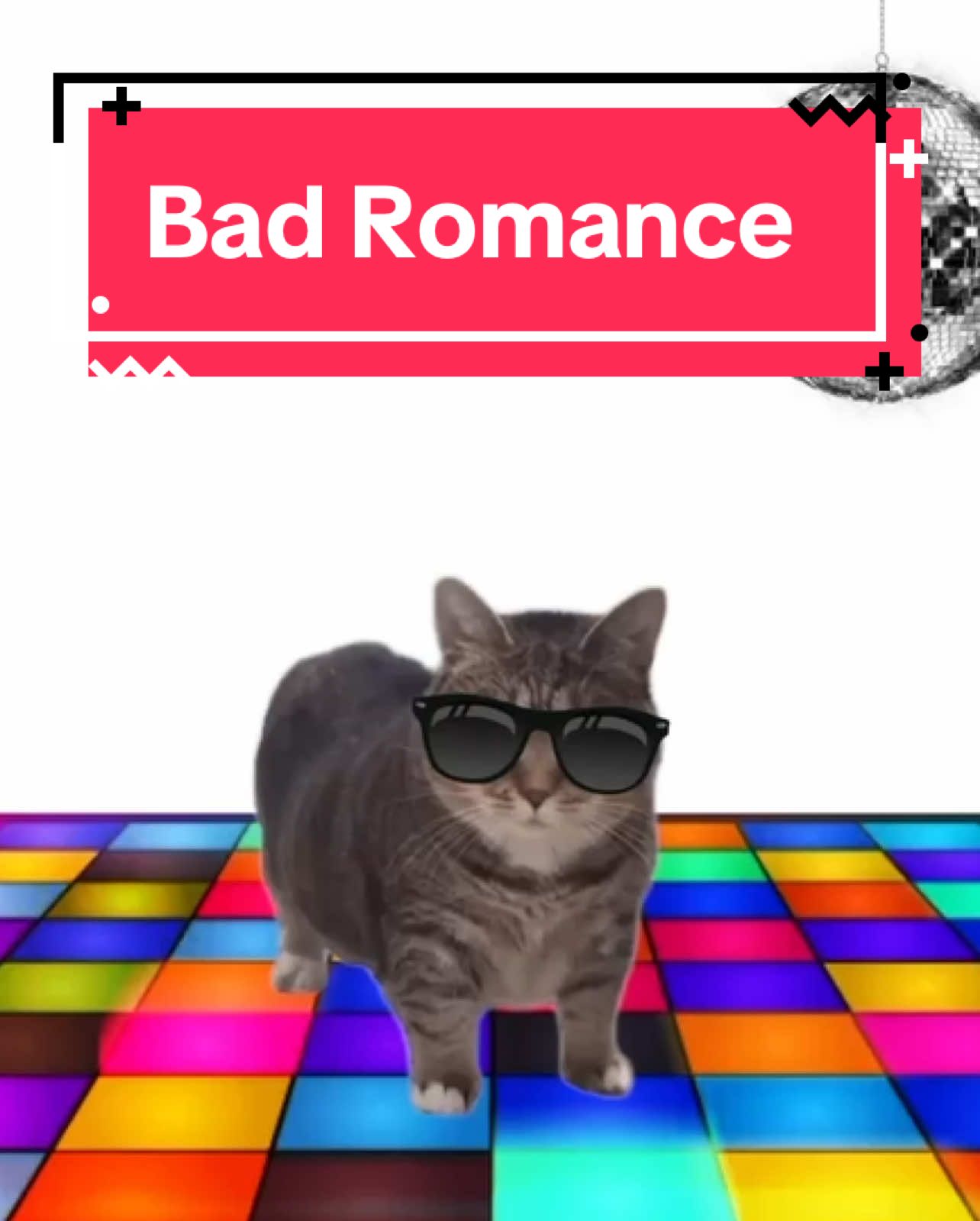 Oia cat sings Bad Romance! #cats #catsoftiktok 