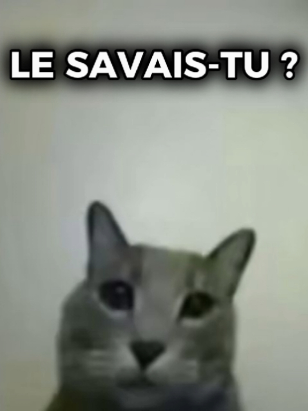 savais-le tu ? Le savais-tu ? Le mot le plus long du dictionnaire est dictionnairement. C'est Mozart qui l'a découvert en 2021, il est très intelligent #pourtoi #brainrot #cats #humour