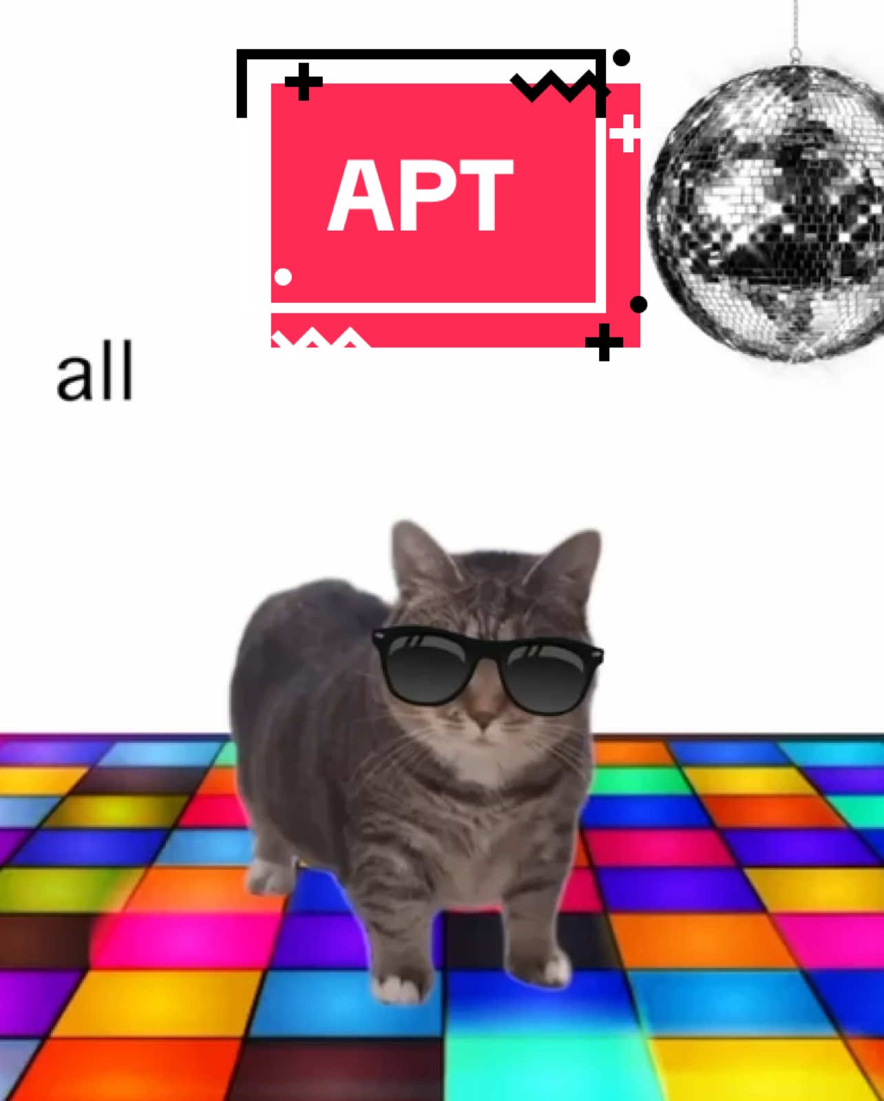 Oia cat sings APT! #cats #catsoftiktok 