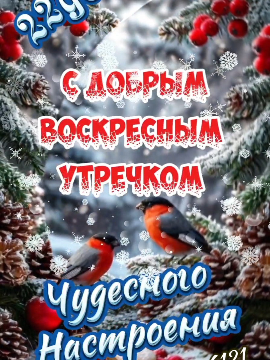 22 декабря С добрым Воскресным Утречком! ❄️ #22декабря #утро #доброеутро #воскресенье #выходные #настроение #пожелания #liliya_6121 