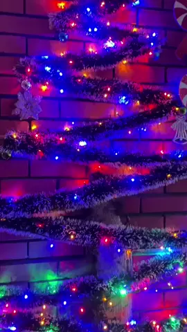🎄Feliz Navidad🎄 #navidad  #liceolosrobles 