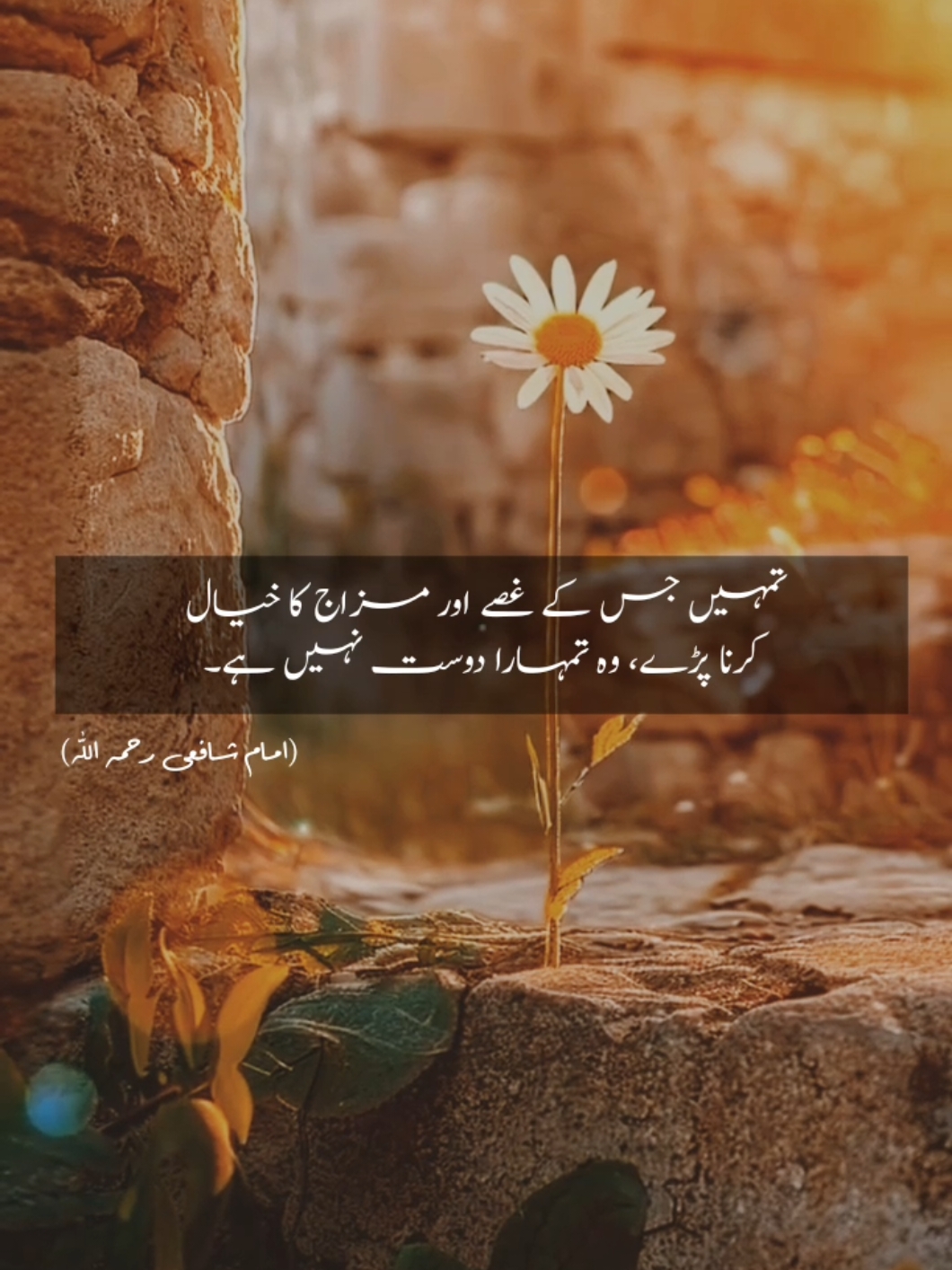 تمہیں جس کے غصے اور مزاج کا خیال  کرنا پڑے، وہ تمہارا دوست نہیں ہے۔ #words #qoutes #hearttouching #fyp #viral 