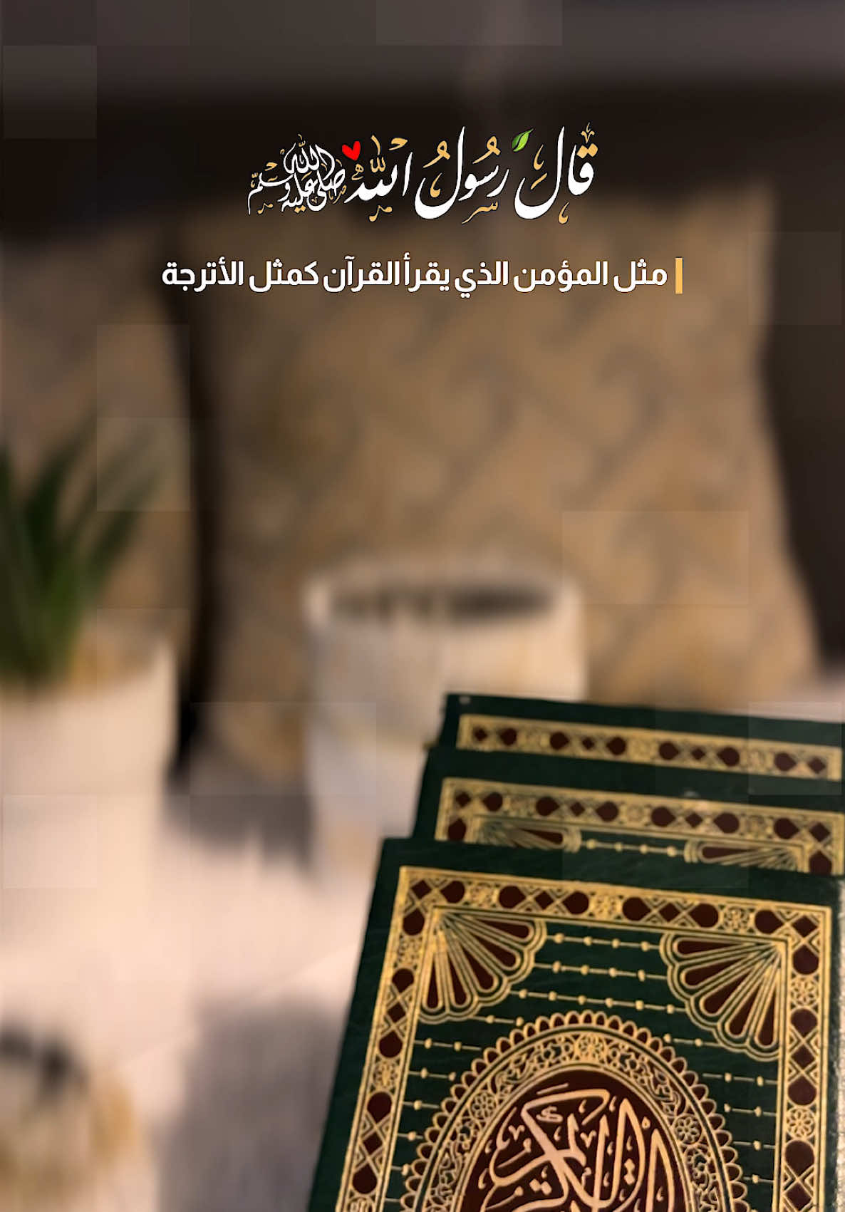 قال رسول الله ﷺ: مثل المؤمن الذي يقرأ القرآن مثل الأترجة، ريحها طيب، وطعمها طيب، ومثل المؤمن الذي لا يقرأ القرآن، كمثل التمرة، لا ريح لها، وطعمها حلو، ومثل المنافق الذي يقرأ القرآن كمثل الريحانة، ريحها طيب، وطعمها مر، ومثل المنافق الذي لا يقرأ القرآن، كمثل الحنظلة، ليس لها ريح، وطعمها مر . #القران_الكريم_راحه_نفسية😍🕋 #قران_كريم #قران #quran #اللهم_صلي_على_نبينا_محمد 