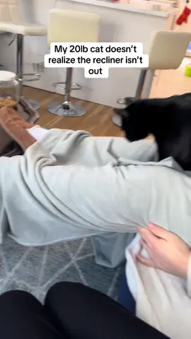 He was grasping on for dear life at the end 😭😭 #loubertthecat #catsoftiktok #tuxedocatsoftiktok #blankets #comfycats #ilovecats 