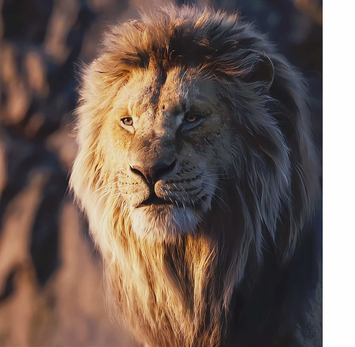 I didn’t realize that Mufasa and Scar used to be best friends#Lion King#movie #edit #Lion 