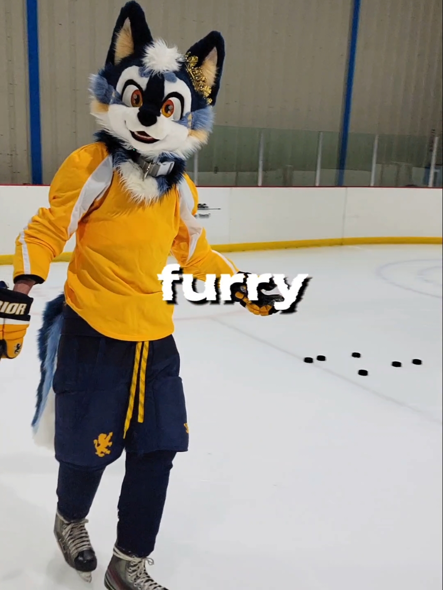 Have you ever seen a furry play hockey before? 👀 #furry #fursuit #hockey #furryfandom #fursuiter 