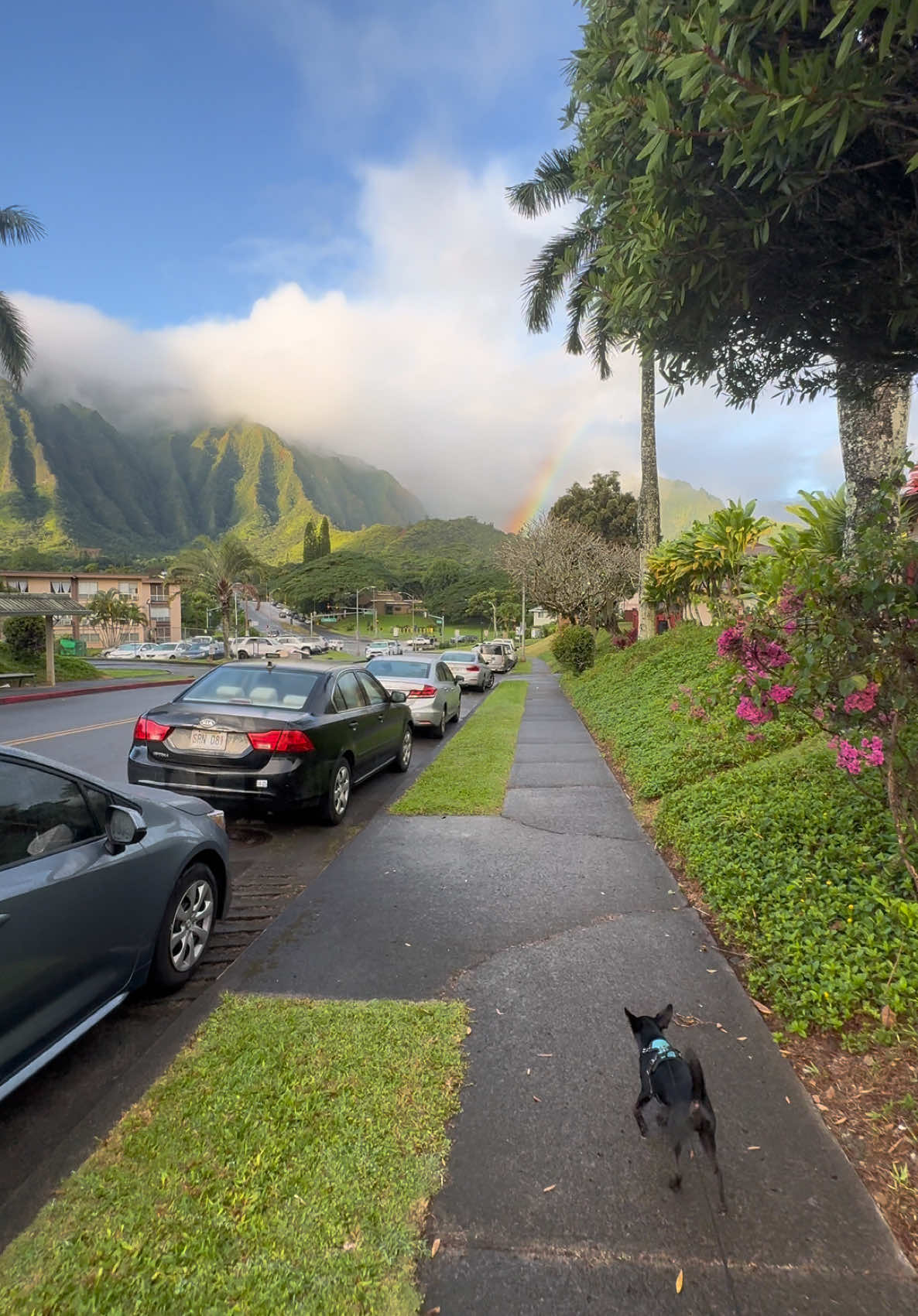 Hawaii feels like another planet. It’s breathtakingly beautiful. #oahu #hawaii #hawaiitiktok #oahuhawaii 