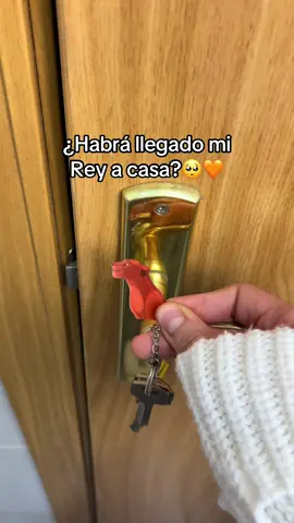 Si esta 🫶🏻 #llaveros #llaverosparaparejas #parejas #novios #reyleon #elreyleon Es un llavero para parejas ideal para novios que les gusta el rey leon