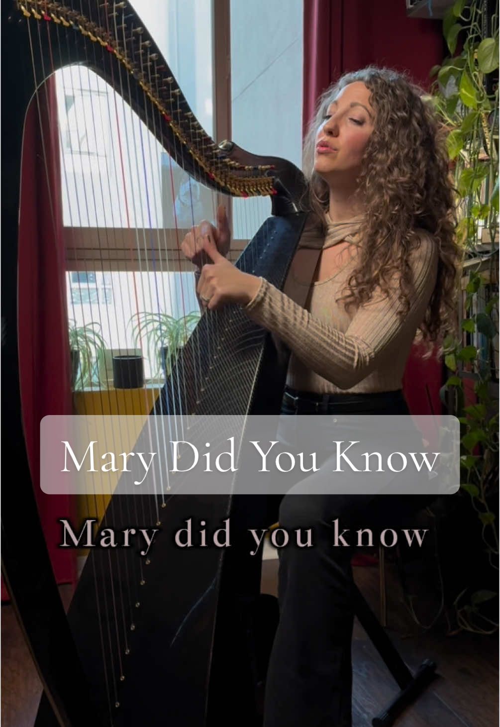 ‘Mary Did You Know’ full song and video out everywhere now! 🎶🔔❄️ #marydidyouknow #christmas #christmasmusic #christmassong #harp #harpist #fyp 