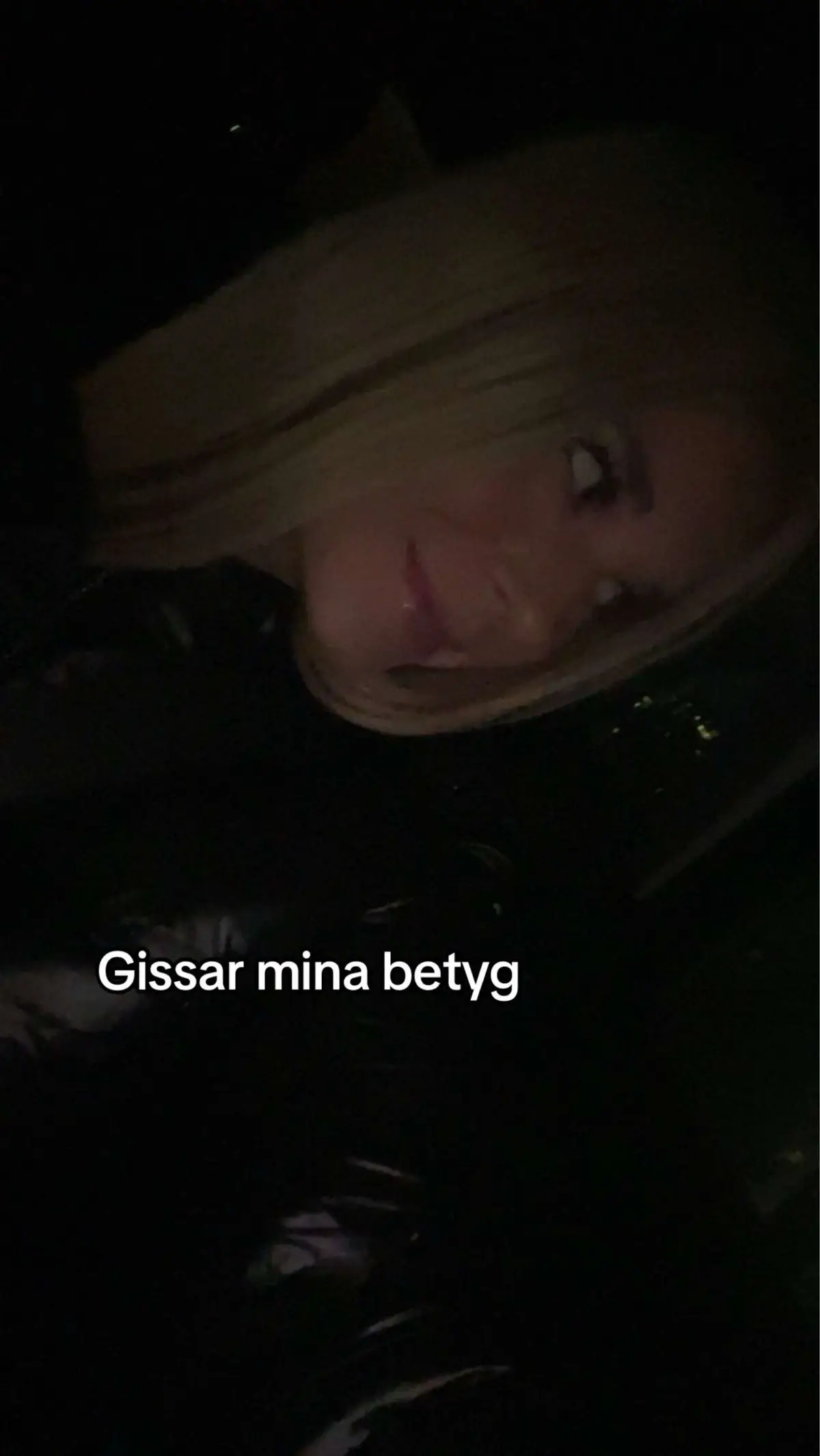 #yessåkandeva #såkandegå #ärintesåmycketiskolandeärdrfjagtrorattjagfårfiallaämnen #LERUM #gbg #wilma #älskardig 