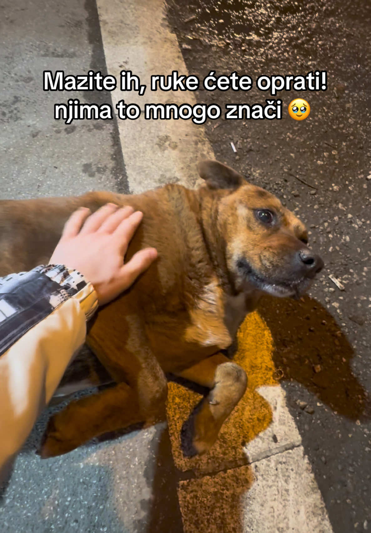 Oni su anđeli bez krila na zemlji 🥰💛 #balkan 