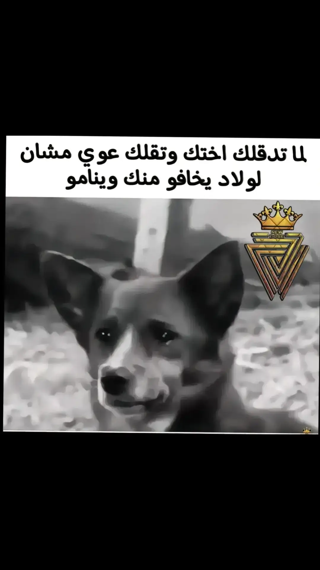 #foryou #fypシ゚viral #fypage #viral #viralvideo #capcut #capcut_edit #😂😂😂😂😂 #🤣🤣🤣🤣 #explore #الشعب_الصيني_ماله_حل😂😂 #الشعب_الصيني_ماله_حل #😭😭😭😭😭😭💔💔💔💔 #ضحك #مالي_خلق_احط_هاشتاقات