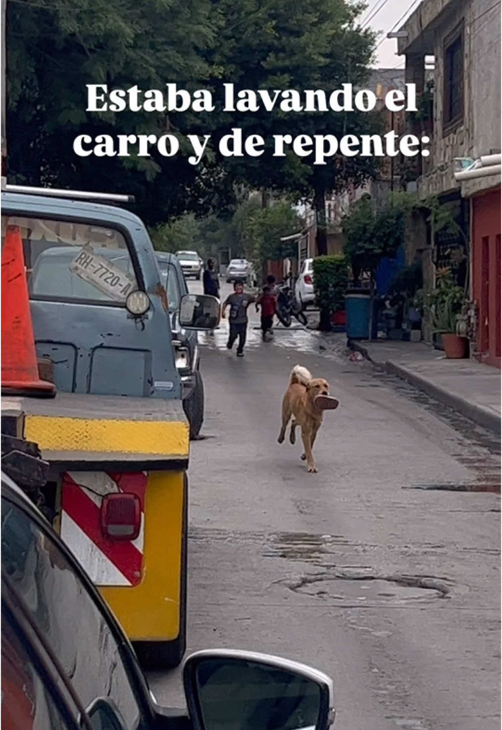 Estaba lavando el carro y de repente:🙂‍↕️😆 #perrogracioso #fyp #funny #perroconchancla #wt #funnyvideos