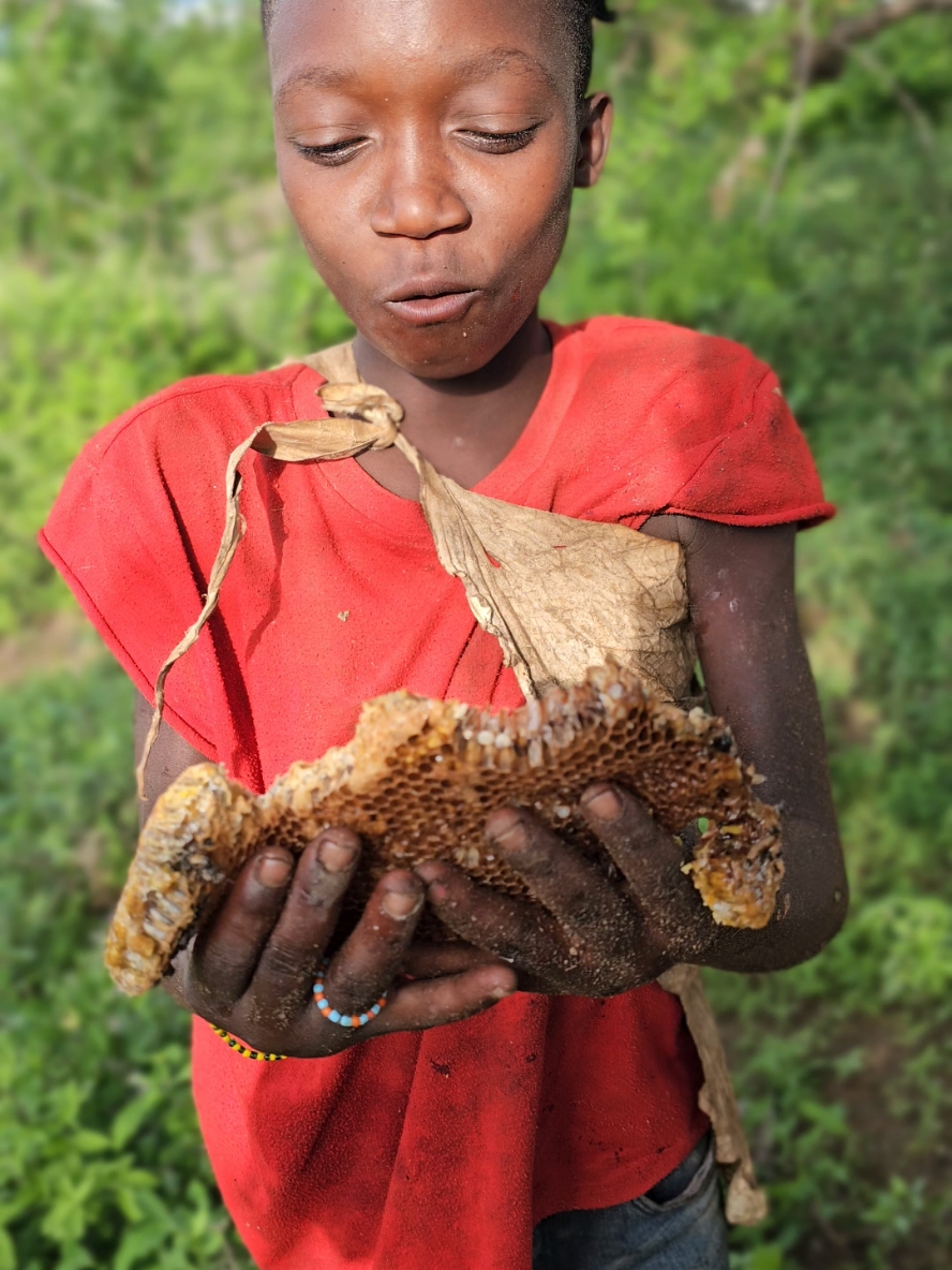 Hadza Raw Honey#hadzabe #Africa 