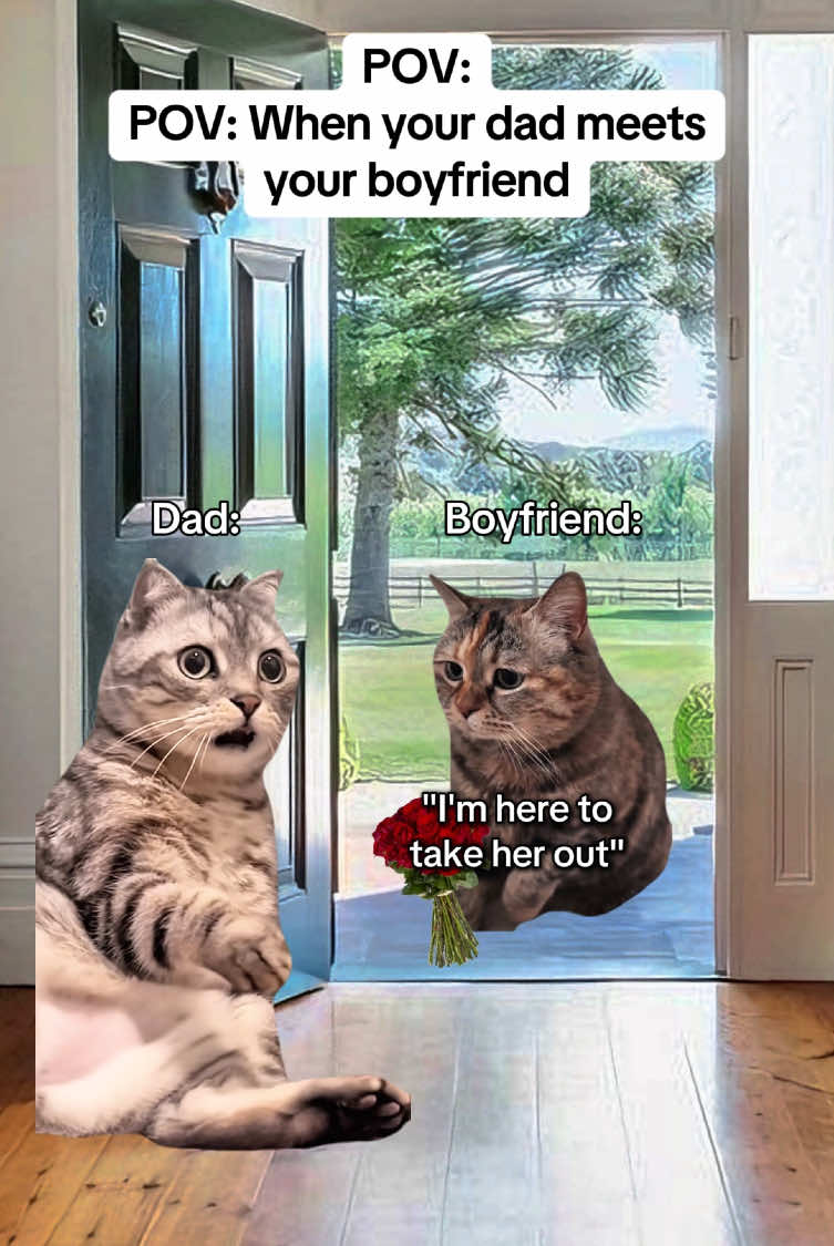 When your dad meets your boyfriend #catmemes #realatable #Relationship #boyfriend #girlfriend #couple 