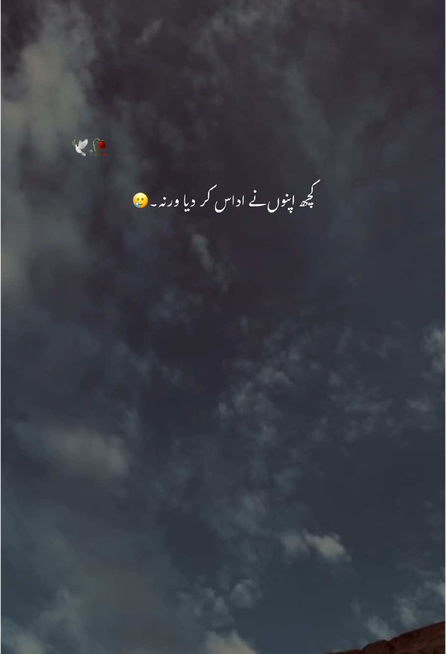 کچھ اپنوں نے۔🥲 #foryoupage #foryou #trending #aesthetic #account #poetrystatus #grow #hehe_feroz 