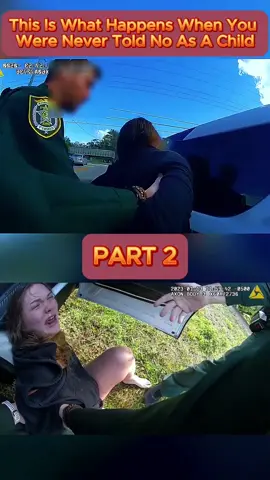 This Is What Happens When You Were Never Told No As A Child - Part 2 #cops #copsoftiktok #copsontiktok #copstiktok #police #chase #copschase #foryou #fyp #usa