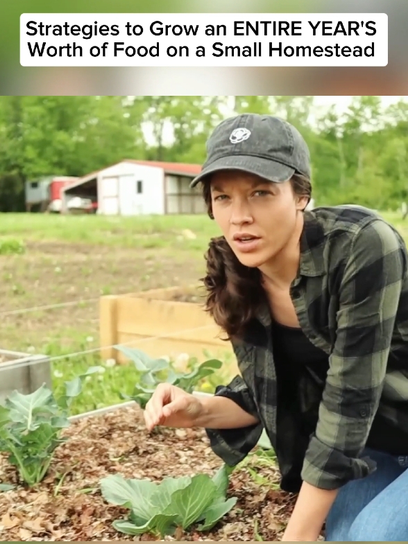 Part 1 | Here are the most helpful STRATEGIES for small Homesteader! ❤️ Like & Share The Video.✨ #homestead #homesteading #gardening #liveincentiveprogram #fyp #foryoupage 