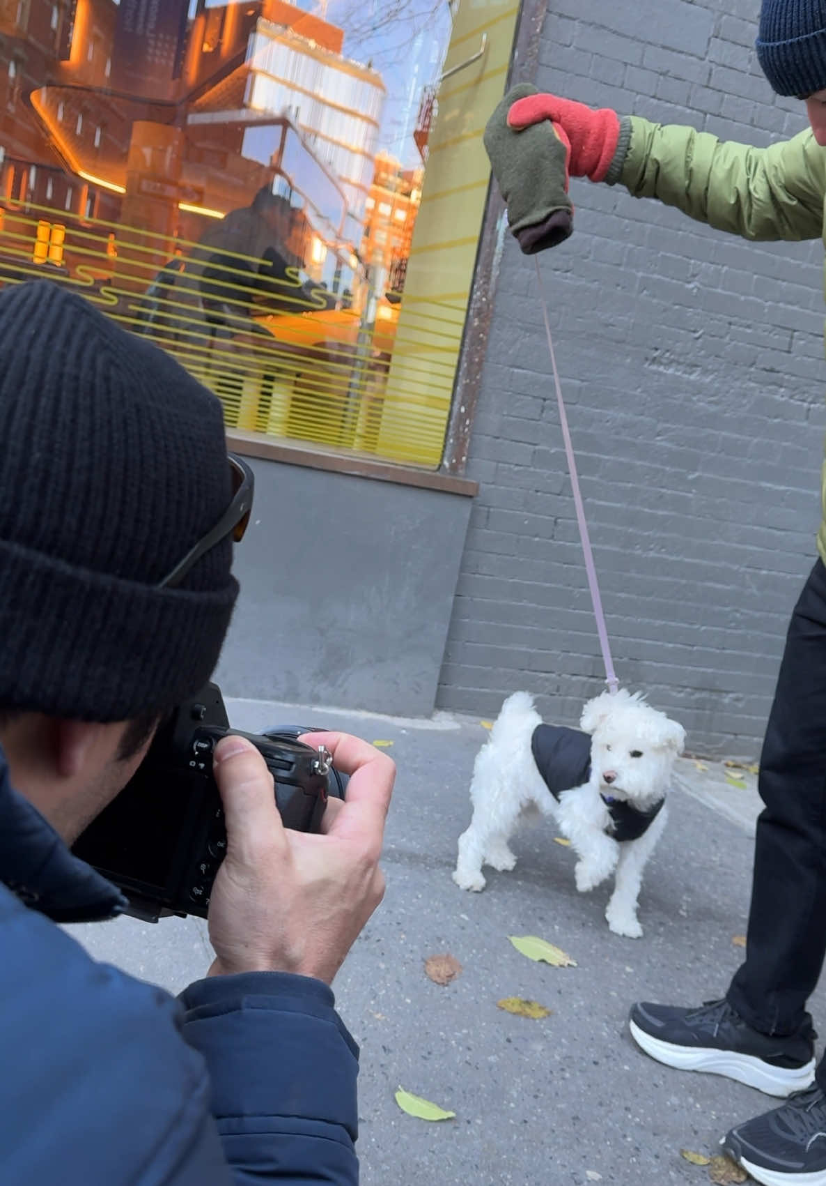 Luna is a good adventure partner #dogphotographer #dogs #nyc 