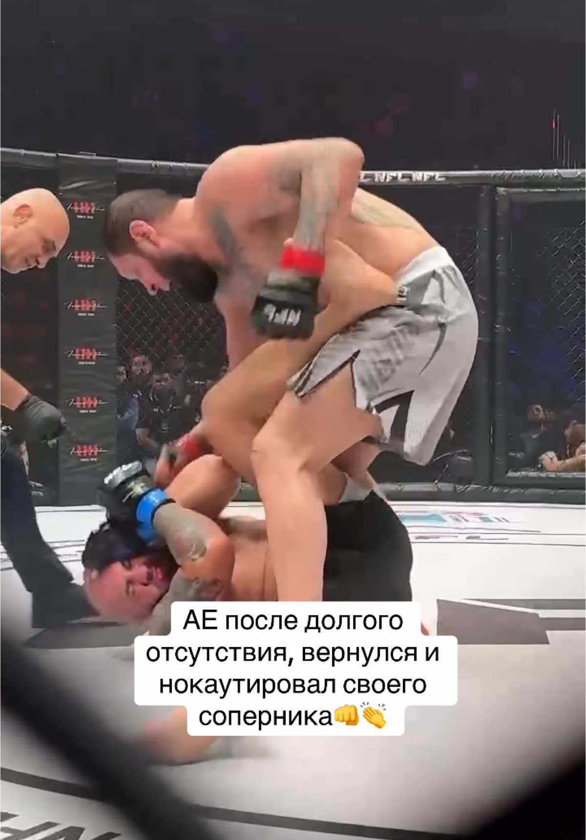 👉Inst: boecmma_ , весь эксклюзив из мира единоборств, подписывайся! #рекомендации 