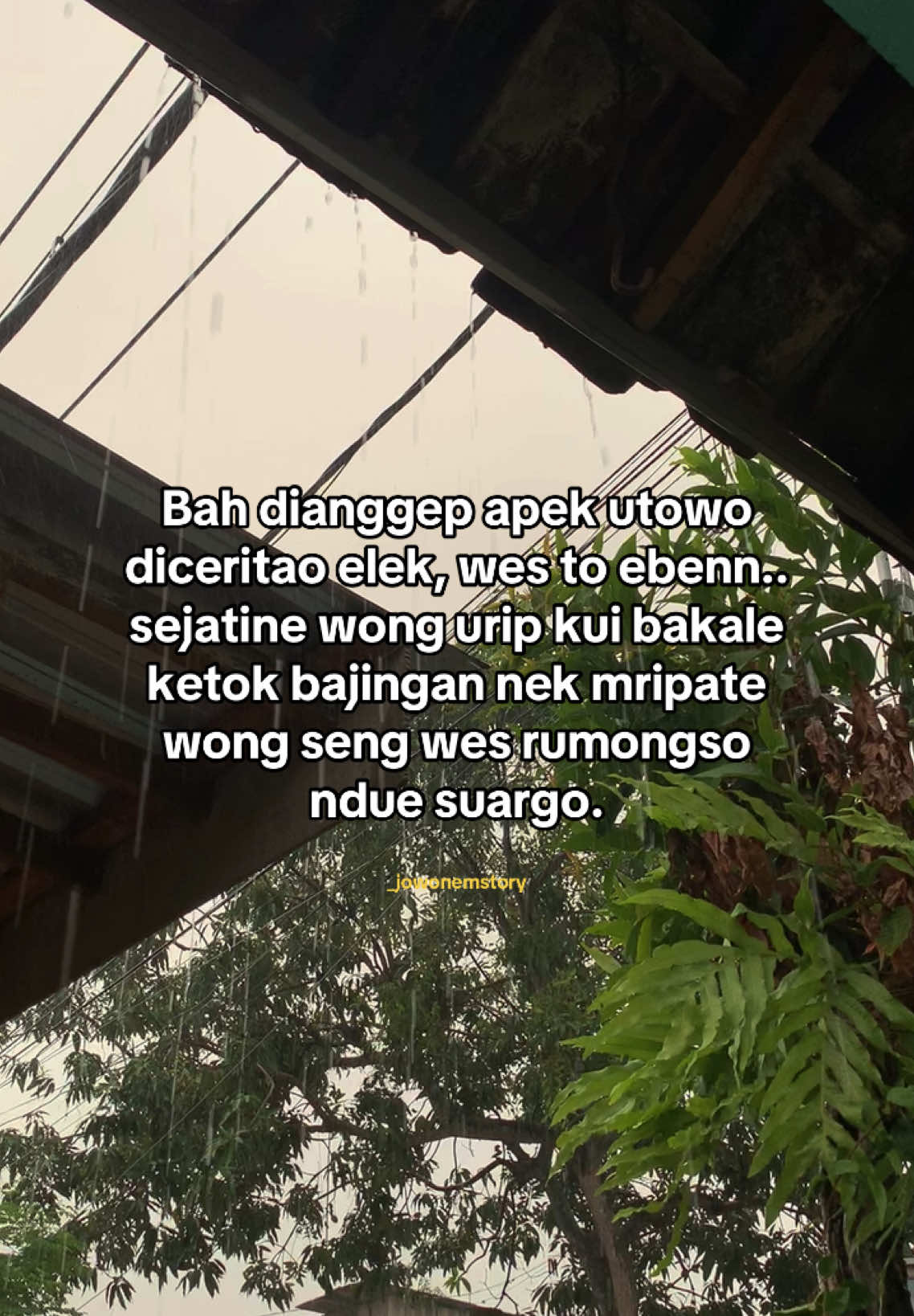 Apik e awak gene njenengan sedoyo, pun to kulo i nopo..😇🙏🏻 #fyp #fyppppppppppppppppppppppp #foryoupage #story #bojonegoro #bojonegoro24jam 