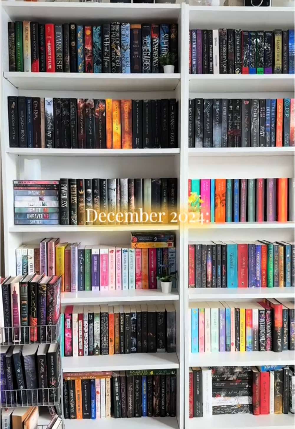 2024: the year I fell back in love with reading ⭐️ #romancebooks #romancereads #BookTok #romance #romantasy #fantasybook #fantasybooks #romantasybooks #bookreview #yabooks #darkromance #darkromancereads #bookshelftour #bookshelf #2024 #reading 