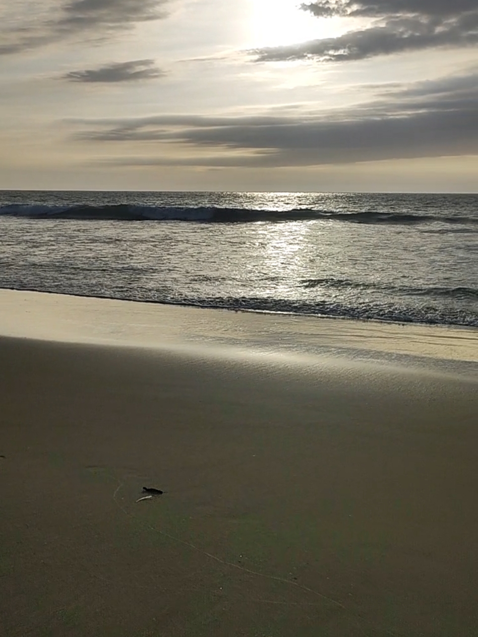 Sunset 🫶🏼 #sunsets #gitana #vichayitobeach #playa #melodias #salsaromantica 