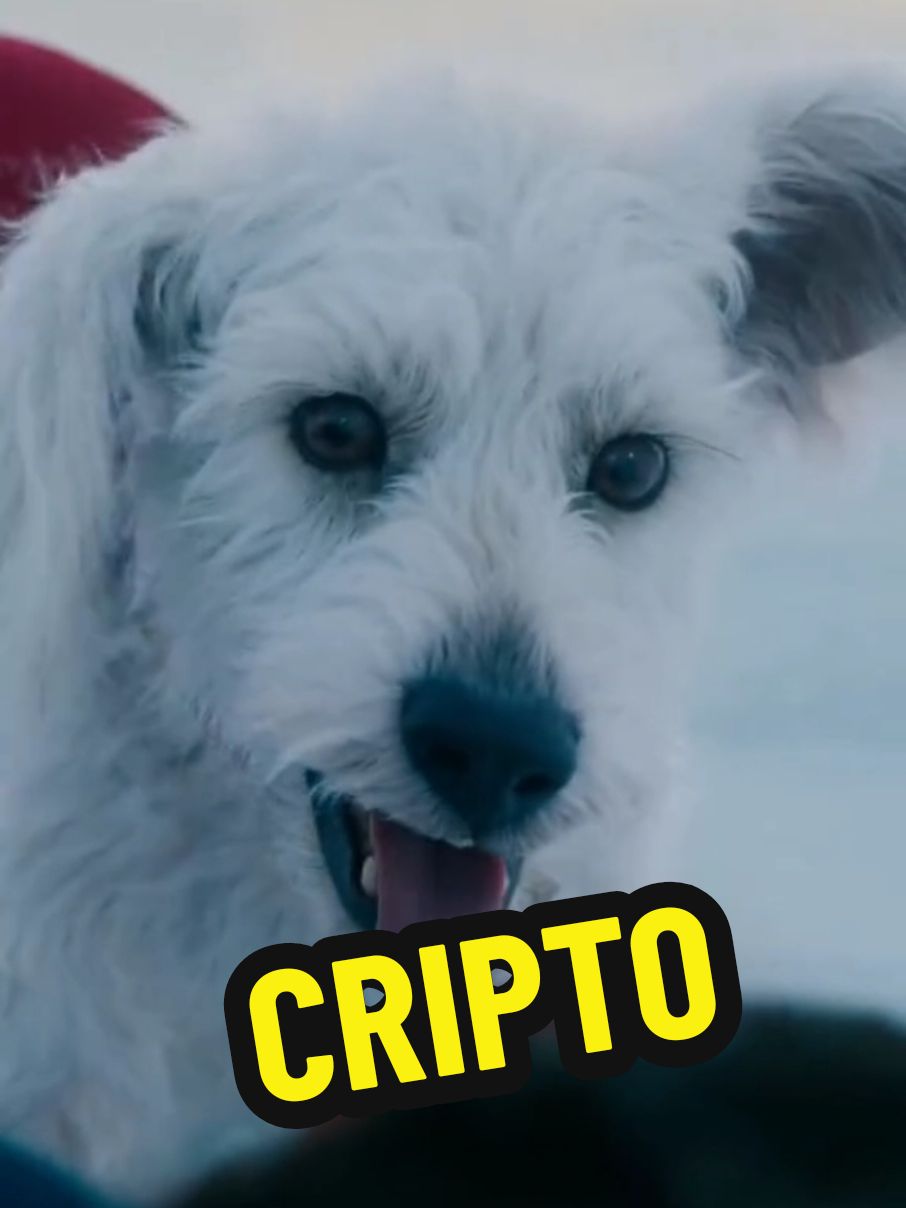 Sus meadas, mis responsabilidades #cripto #superman #pilo #perrito 