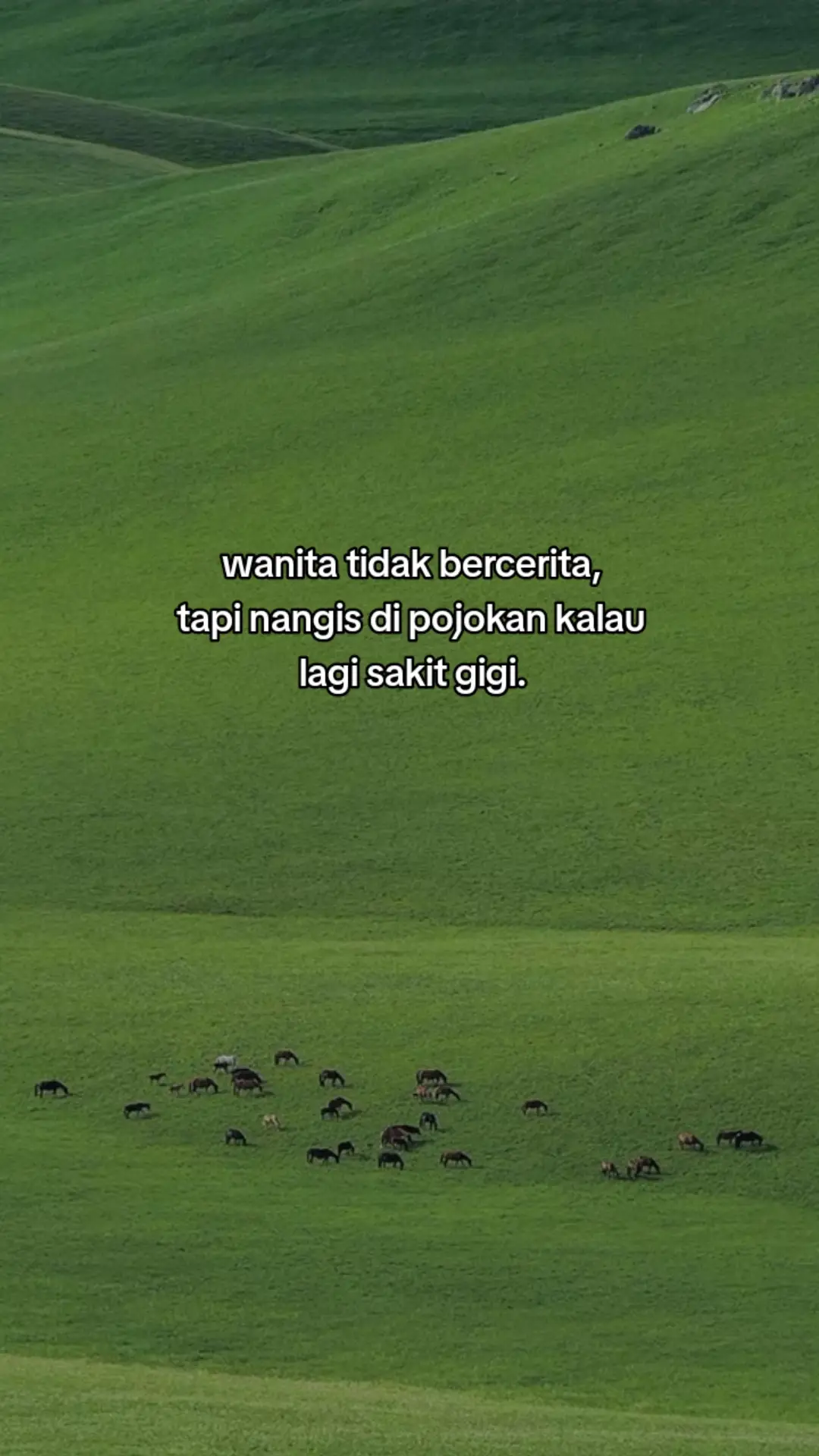 #storywa #quotes #katakata #fypシ #xyzbca 