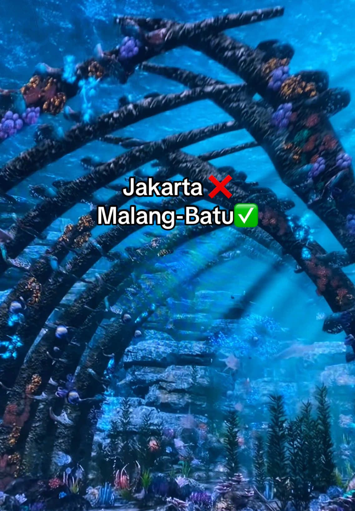 Wahana terbaru jatim park 2  VIP(virtual impresive park) Bener bener berasa di dalam aquarium Cantik banget  🥹🫶🫶#jatimparkaja #jatimpark2 #malang24jam #aquariumdate #fyp #fypage #masukberanda  