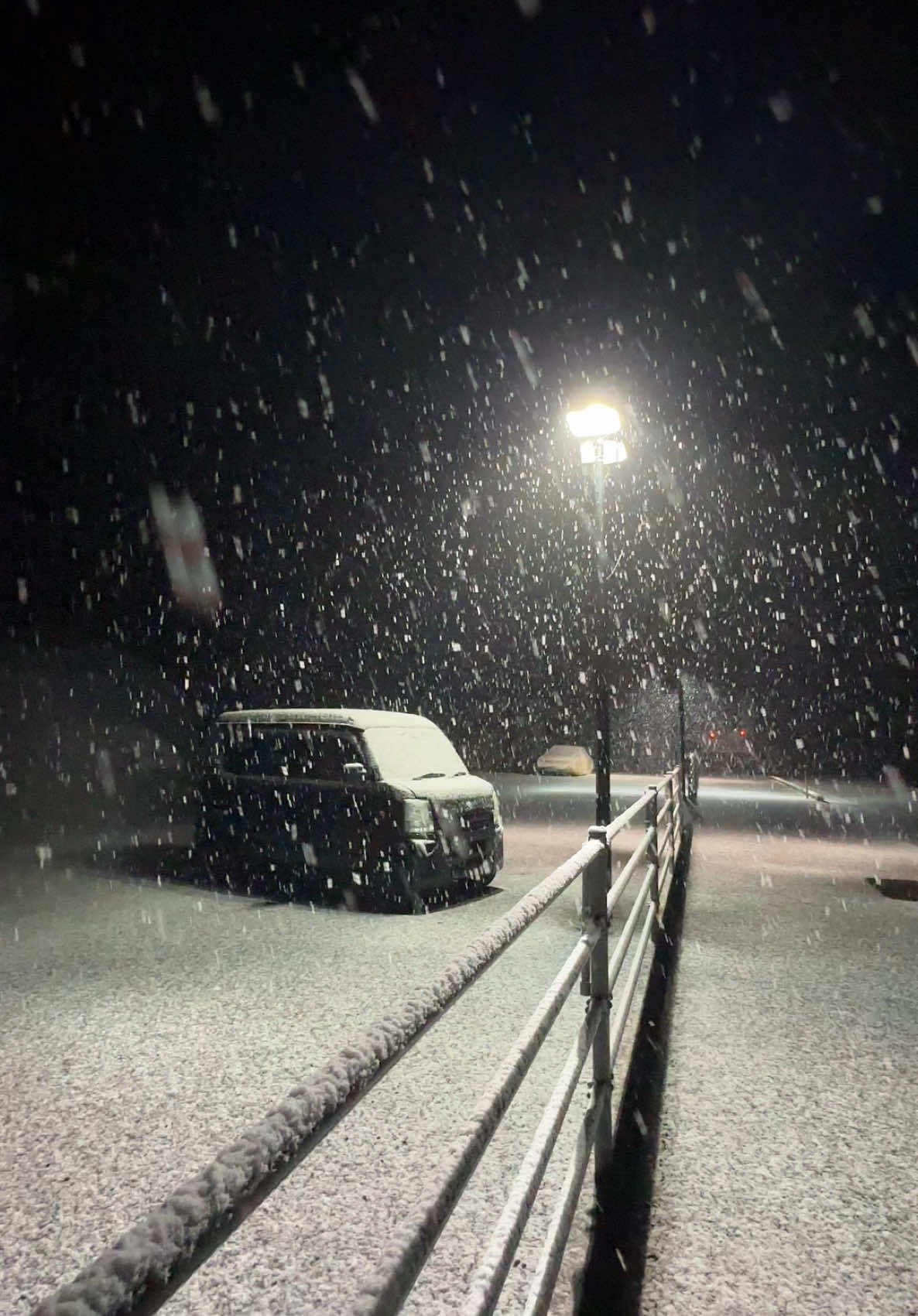 🌨️ #japan #japanvibes #japanstreet #japanstreetvibes #snow #somebodyspleasure #日本 #雪 #冬 #おすすめ #fypシ 