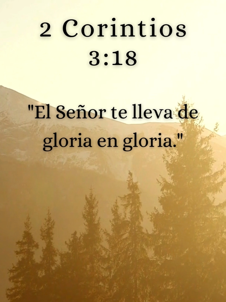 Sígueme y Dios te Bendecirá ✝️ #Dios #fe #esperanza #biblia #cristianos #inspiracion #mensajededios #palabradedios #confianzaendios #diostedicehoy #diosmeguia #diosesmiguia #diosesbueno #cartadedios #frasesmotivadoras #frases #frasesdeamor #frasesbonitas #frasesparareflexionar #usa #usa🇺🇸 #america 