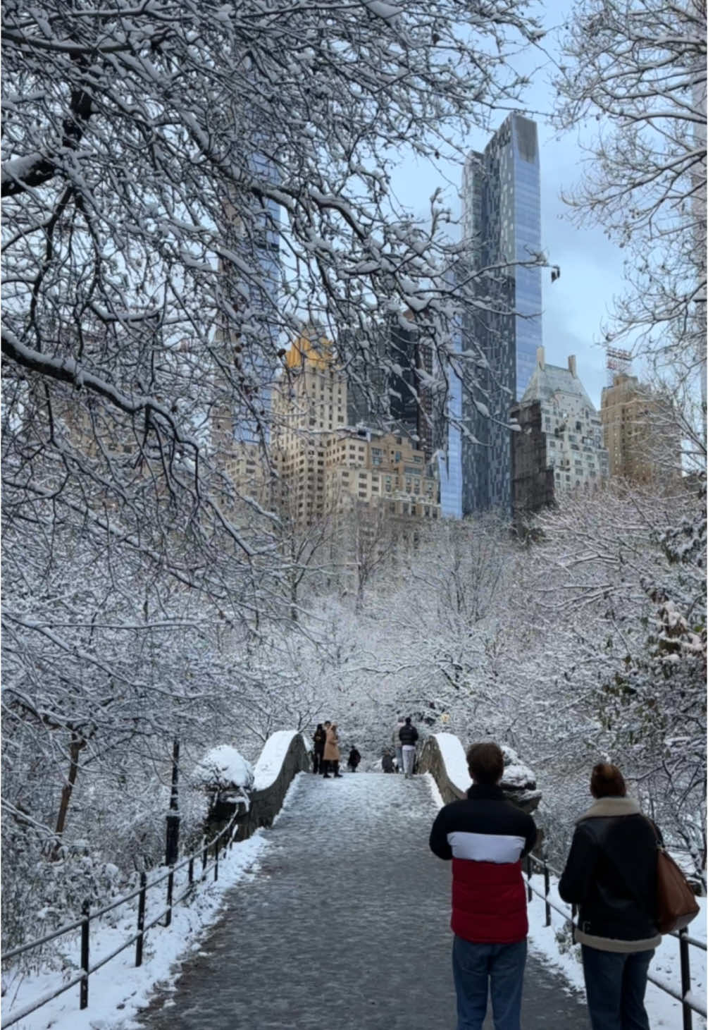 The snow fall from this morning in NYC #snow #snowstorm #newyork #nyc #centralpark #photography 