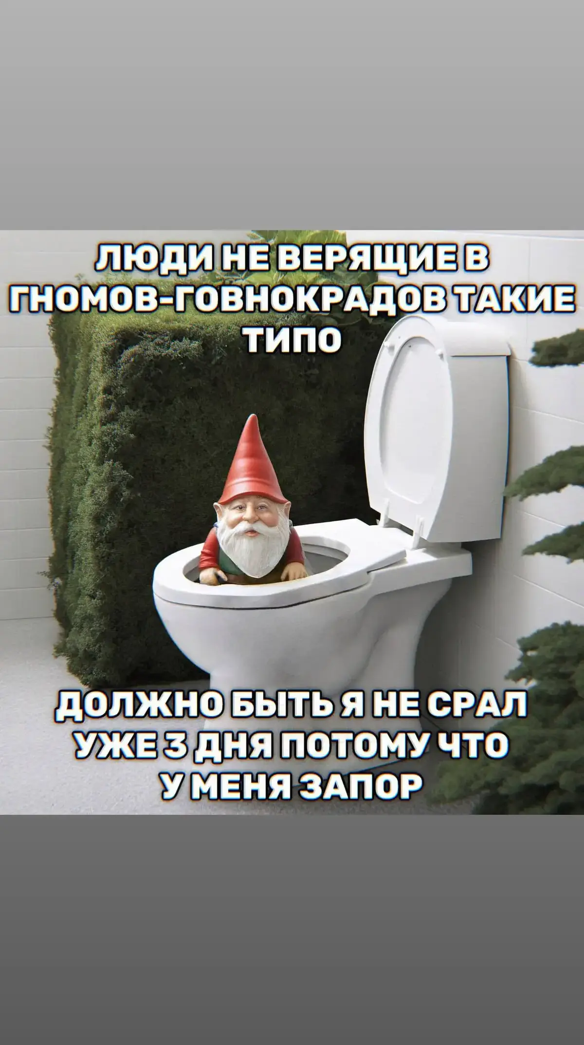 #meme #говно #гном