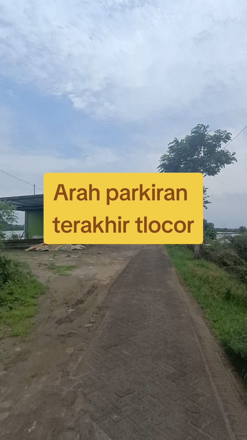 spot arah parkiran terakhir tlocor bolo umpan dominan cacing #fyp  #fypage  #viral  #mancing  #angler #mancingliar #mancingsidoarjo #anglersidoarjo #anglermania #mancingmania