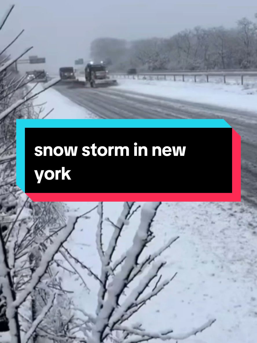 snow storm in new york #snow #storm #newyork #ice#rain #badweather #weather #flypシ #paratiiiiiiiiiiiiiiiiiiiiiiiiiiiiiii #usa_tiktok #usa🇺🇸 #today 