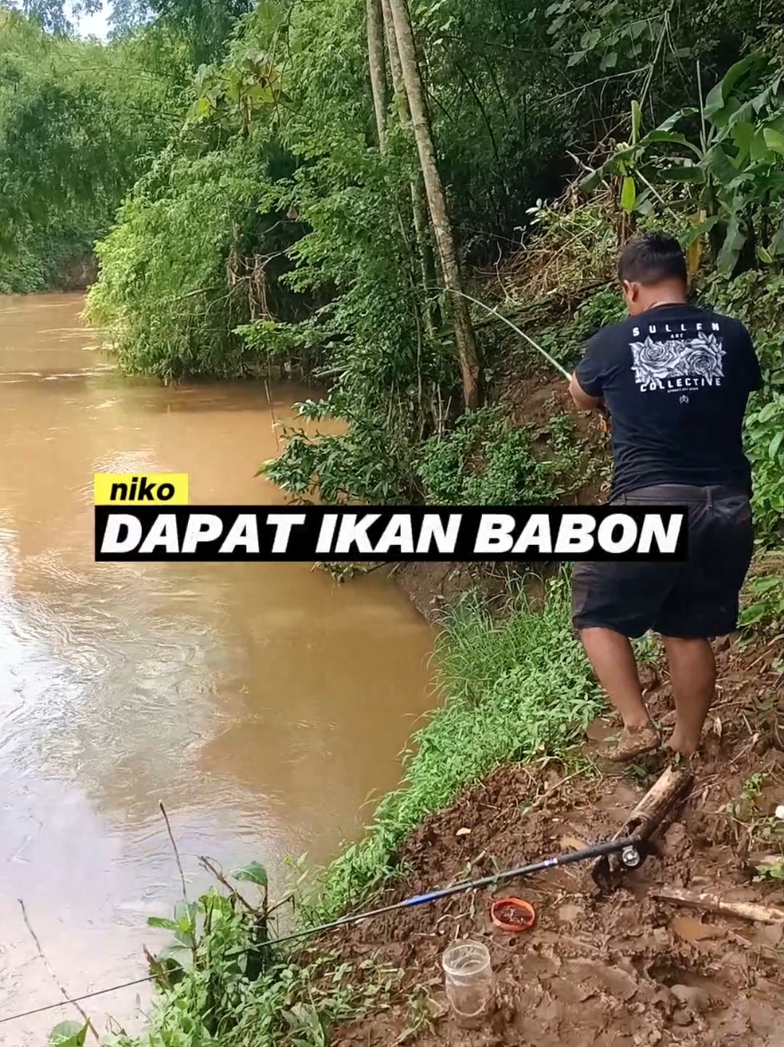 niko dapat ikan babon @nikolas_buabu  #mancing #fishing #mancingmania #mancingnutul #microfishing 