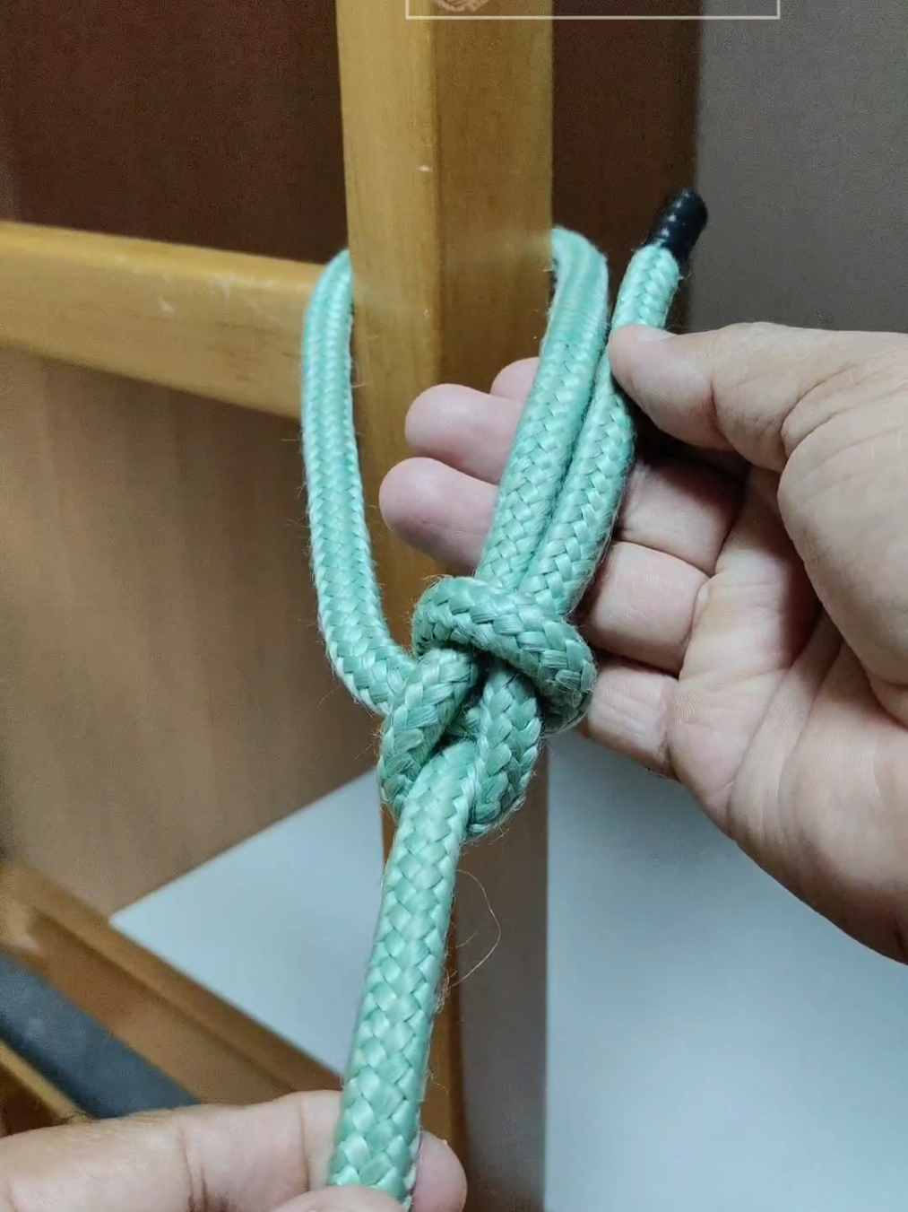 Nó lais de guia - em três passos  #bowline #laisdeguia #nó #knot #tiktok 