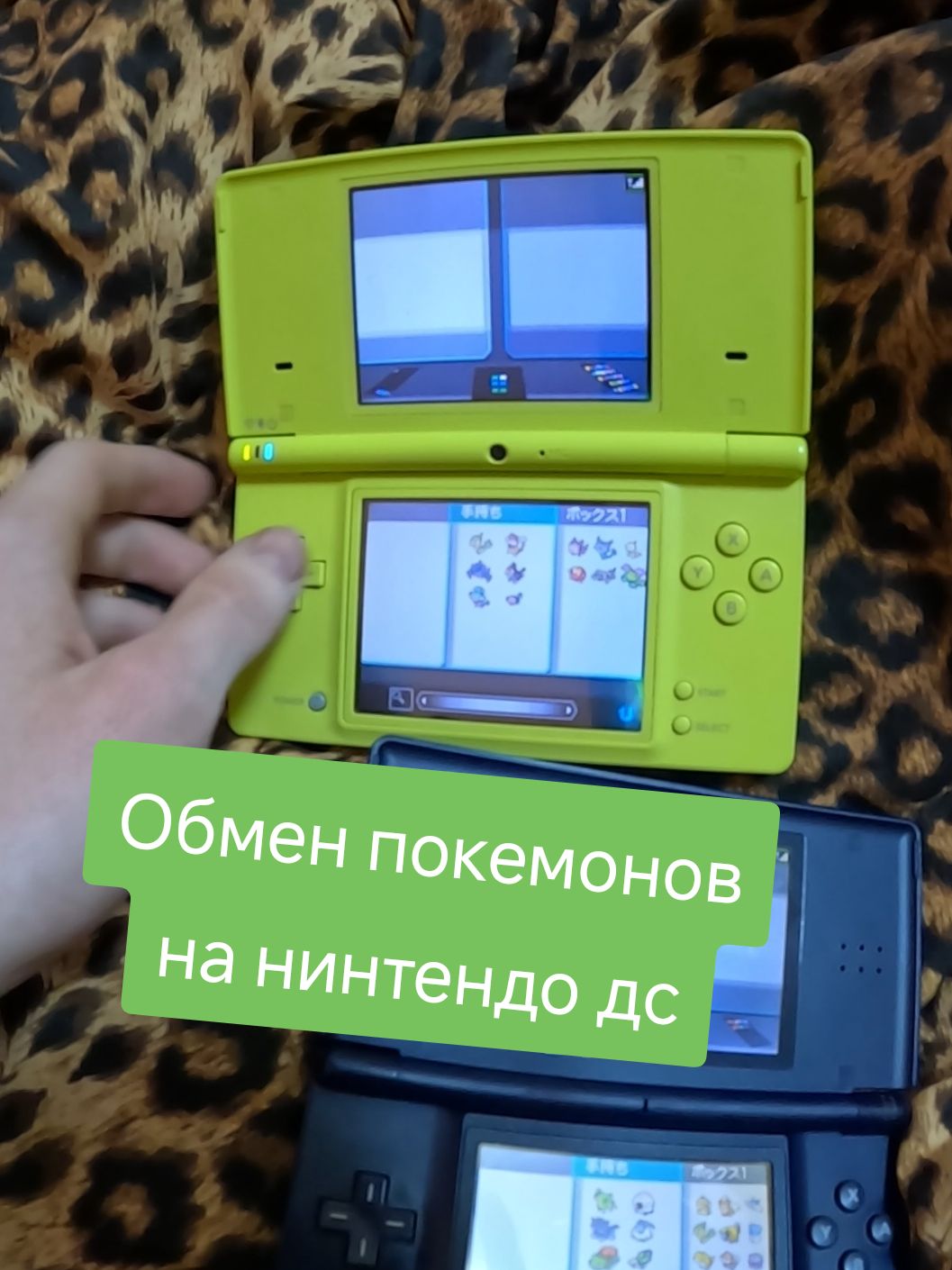 Покемоны мне удивляют всё больше с каждым разом) #покемон  #black #white #nintendo 