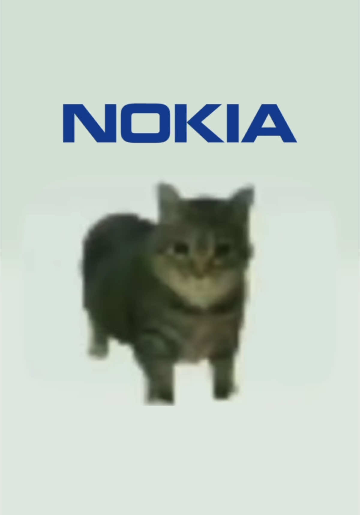 Oiacat Nokia Ringtone! #cats #catsoftiktok   