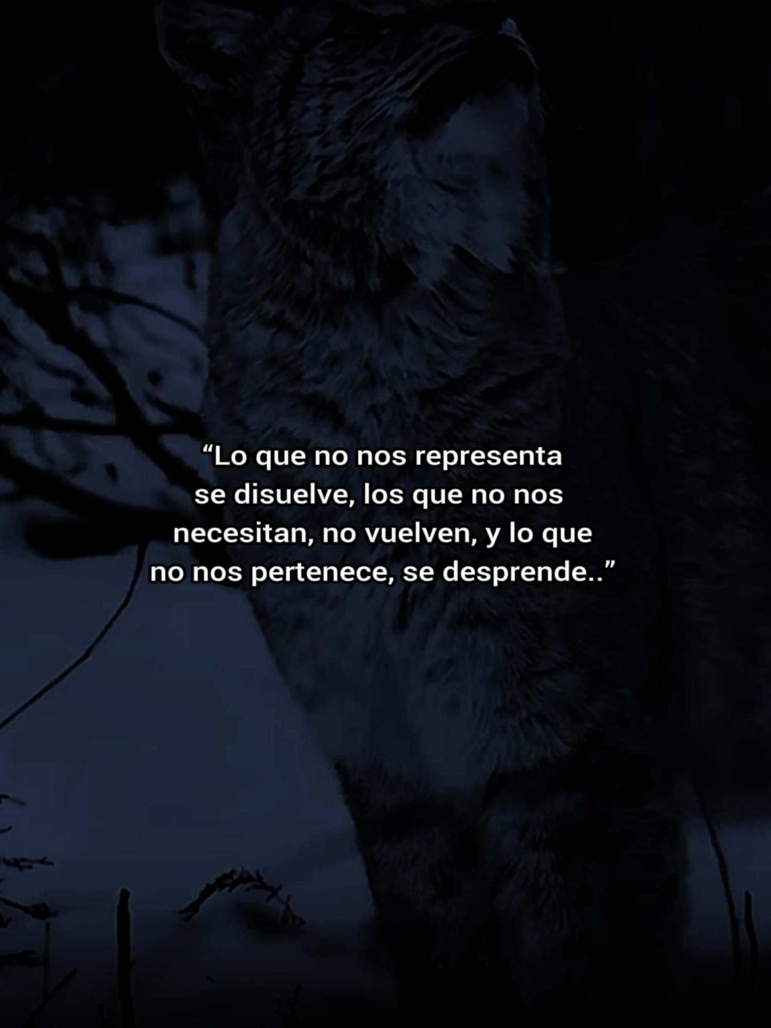 Dejamos ir lo que ya no nos representa ni nos pertenece.. #inspiration #mindset #Motivation #Reflexion #MindsetPositivo #RugidoEterno #mindsetmotivation #parati