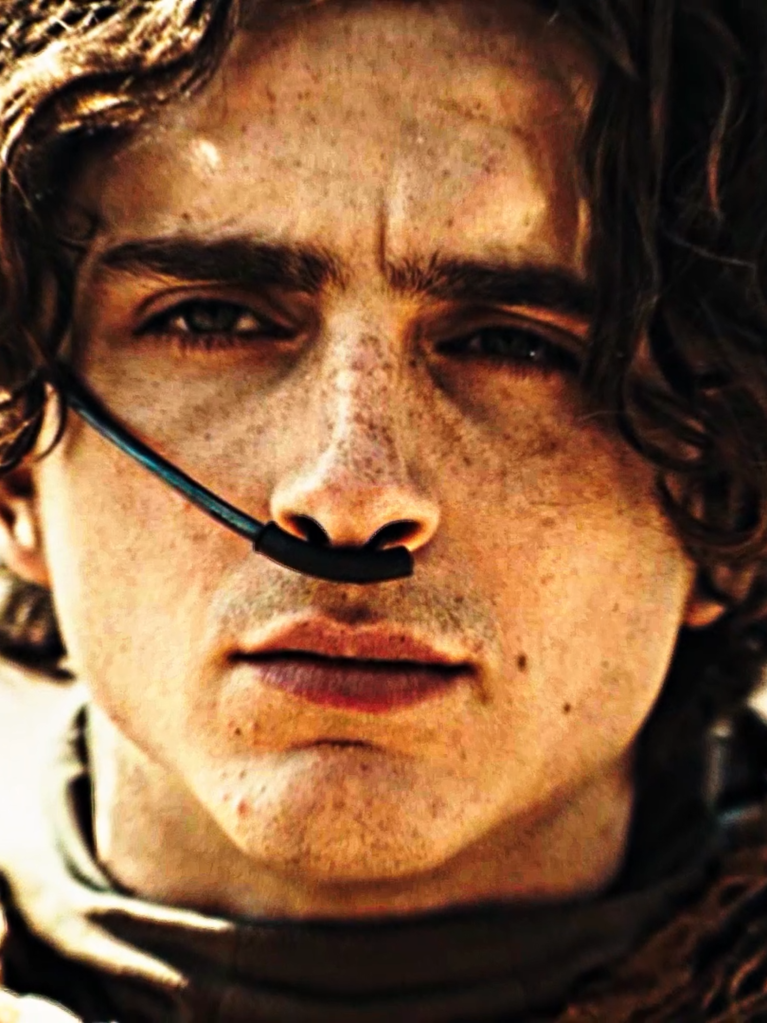 Paul Atreides #paulatreides #warner #dune #edit #insane #aftereffectsedits #movie #warnerbros #foruyou