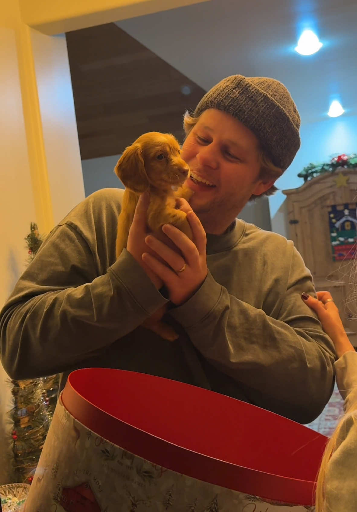 logans asked for a puppy every day since we got married, and I finally  gave in. we love u so much already #christmaspuppy #puppy #minidachshund 