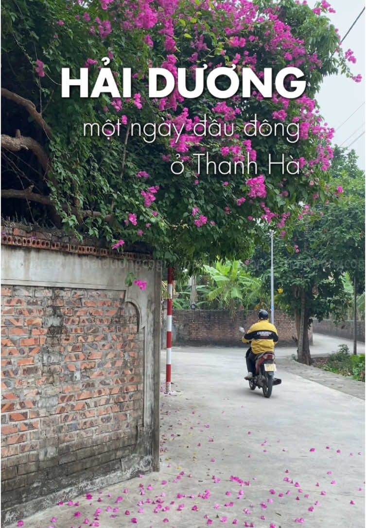 Gửi tặng bạn chút không khí lạnh nơi Thanh Hà thân thương ❤️ #haiduongcogi #thanhha #fypシ 