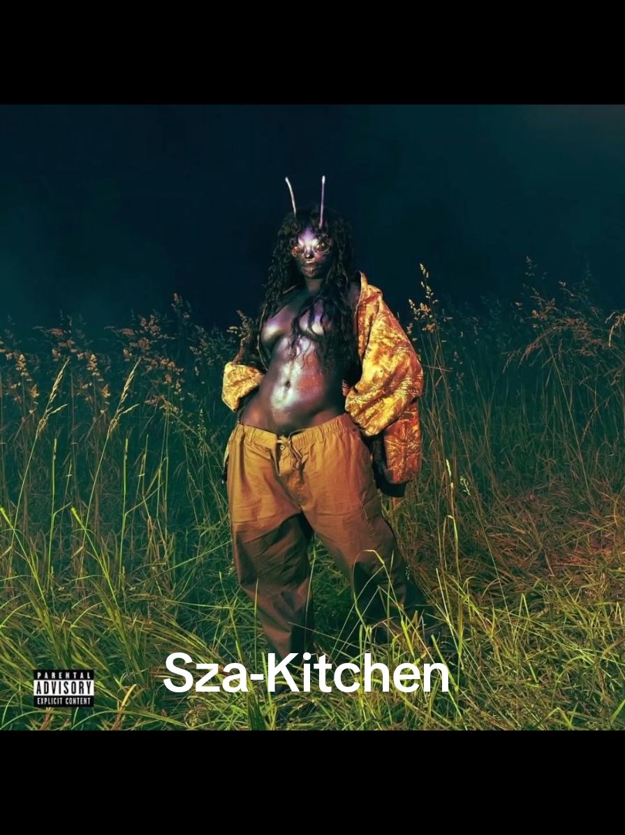 Sza-Kitchen(hago pedidos) #parati #fyp #sza #lana #sosdeluxe #sos #lyric #foryou #viral #xyzcba 