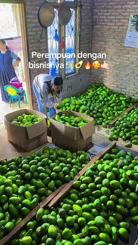 Rezeki sudah tertakar dan tidak akan tertukar 😇🤲🏻 #alpukatsigerlampungtimur #pokatbalap🥑🥑 #fyppppppppppppppppppppppp #fypシ 