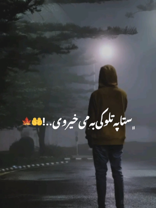 #CapCut  sta pa tlo ki bami khair we #pashtosong #foryou #viral #foryoupage #dontunderreviewmyvideo #pleaseunfrezzemyaccount@..H🖤 @➳ᴹᴿ᭄ᎪbᎠuᏞᏞᎪh𒆜☠︎︎ᏒᎾshᎪᏁ☠︎꧂ @haji dad M❤️🤍💚 @Shafi Ullah  #پشتون_تاجیک_هزاره_ازبک_زنده_باد #pakhtoon🔥 